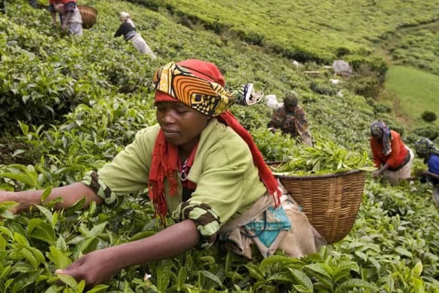 Rwanda's income per person increased by 3.38% in one year