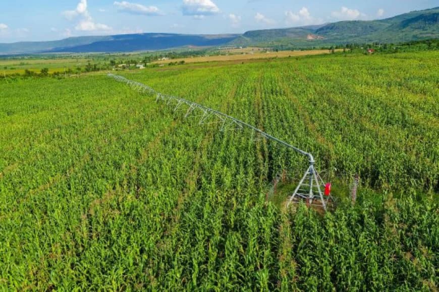 More than 75% of Rwandans have food security