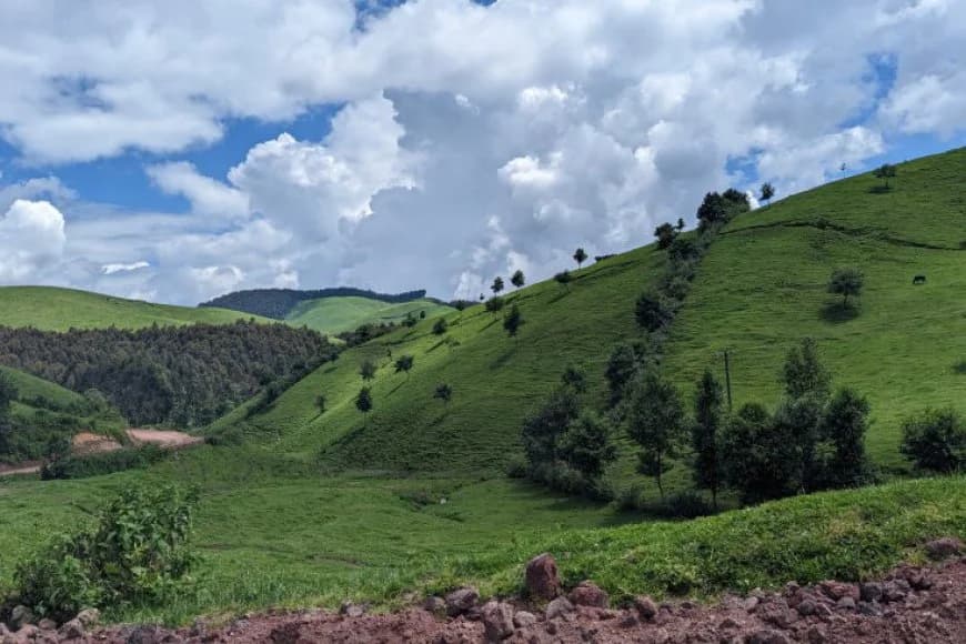 Ibyo wamenya kuri Bigogwe umwe mu  misozi y'uburanga bw'umuco wu Rwanda .