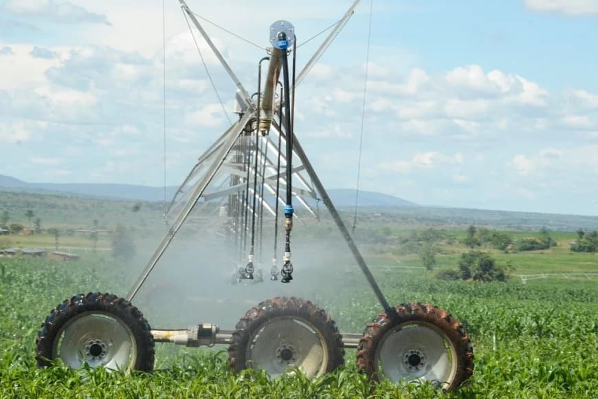 Rwanda to adopt GMOs technology in bid to boost agricultural productivity