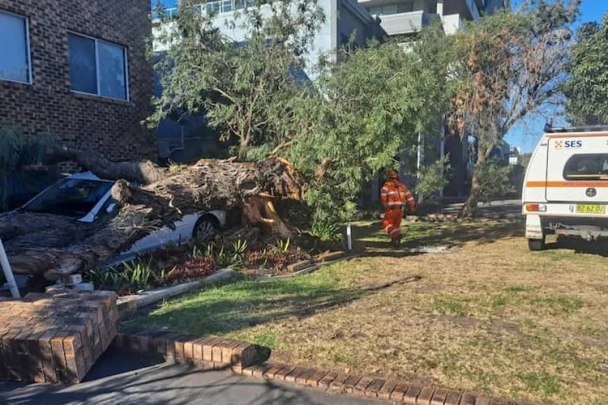 Umuyaga ugendera ku muvuduko wa 100km/h wibasiye New South Wales