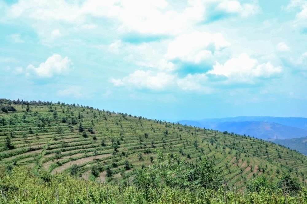 Rwanda, Italy sign €50m agreement to support climate resilience projects