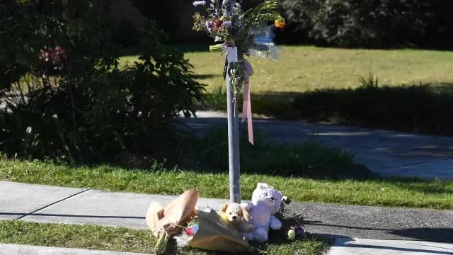 Alleged Murder Plot Unveiled in Fatal Hit-and-Run South of Brisbane