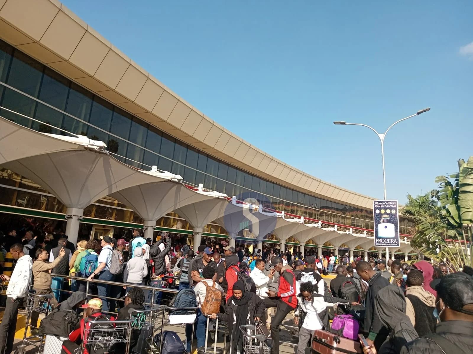 RwandAir Suspends Flights at JKIA Due to Ongoing Strike