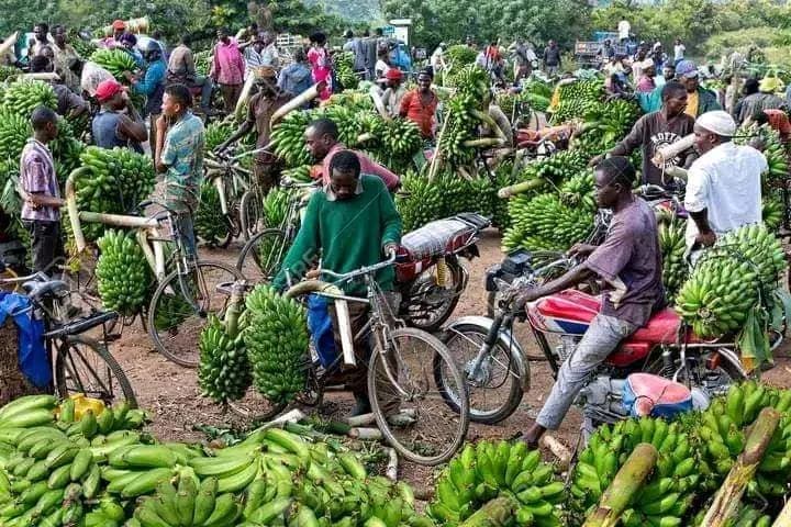 30 Years of Promoting Agriculture in Rwanda: Empowering Local Communities and Transforming Lives