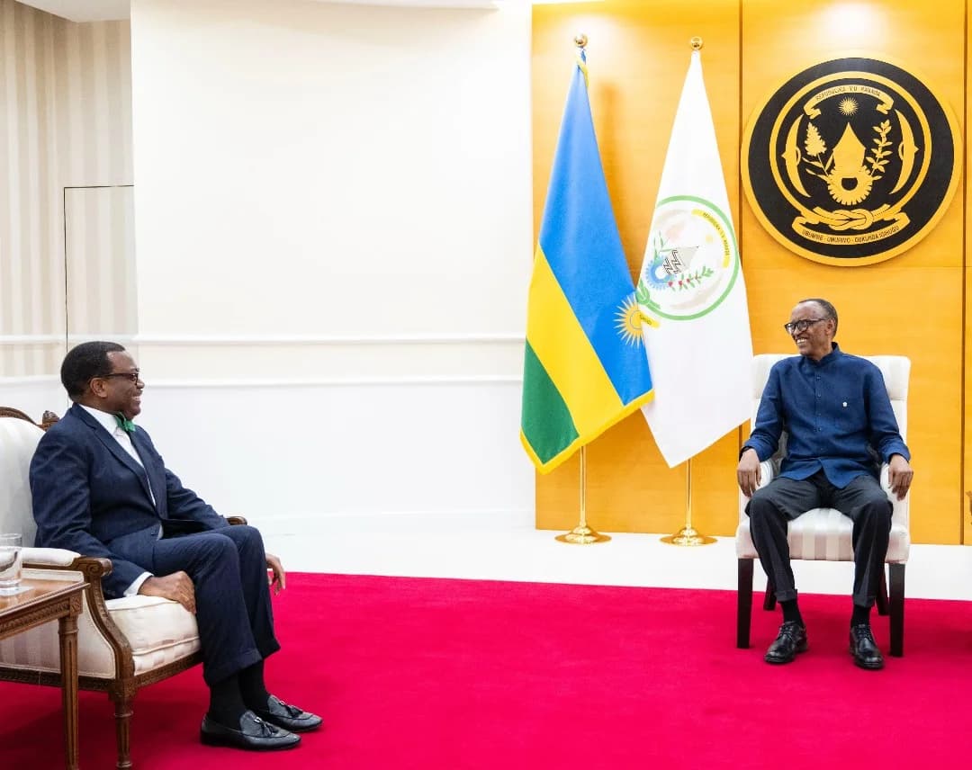 President Kagame discusses partnership with outgoing AfDB president