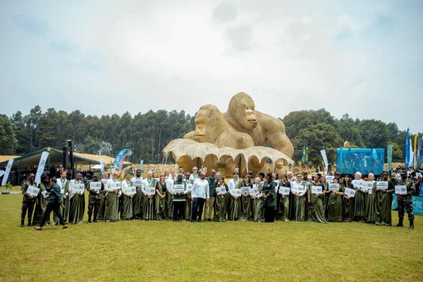 Rwanda names gorillas for the 20th time