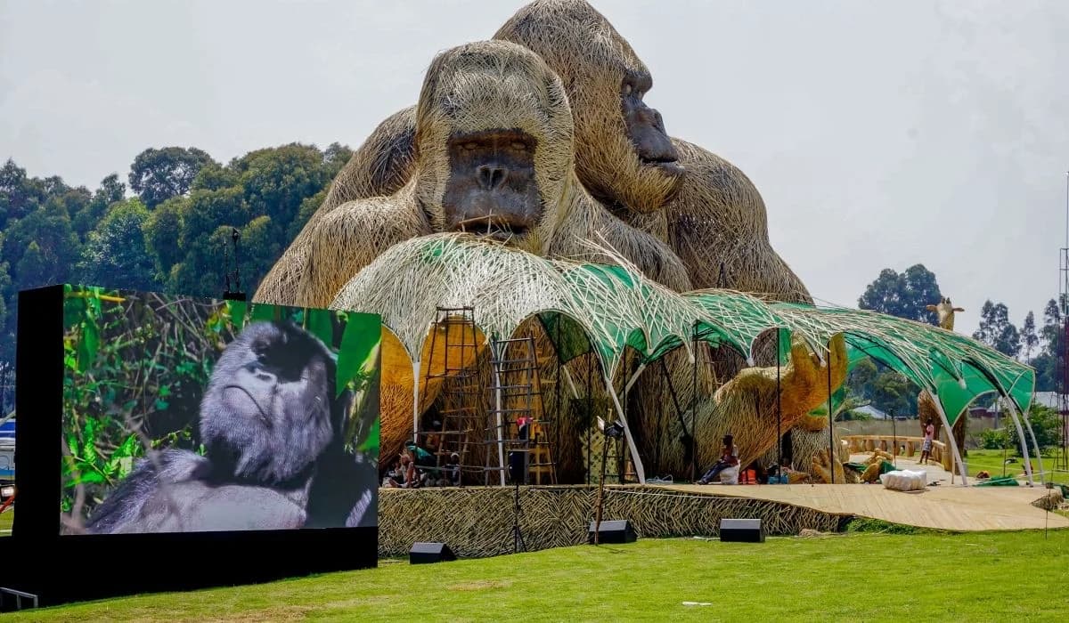 Global Leaders, Football Legends, Artists, and Conservation Champions to Name 40 Baby Gorillas at Kwita Izina 2025