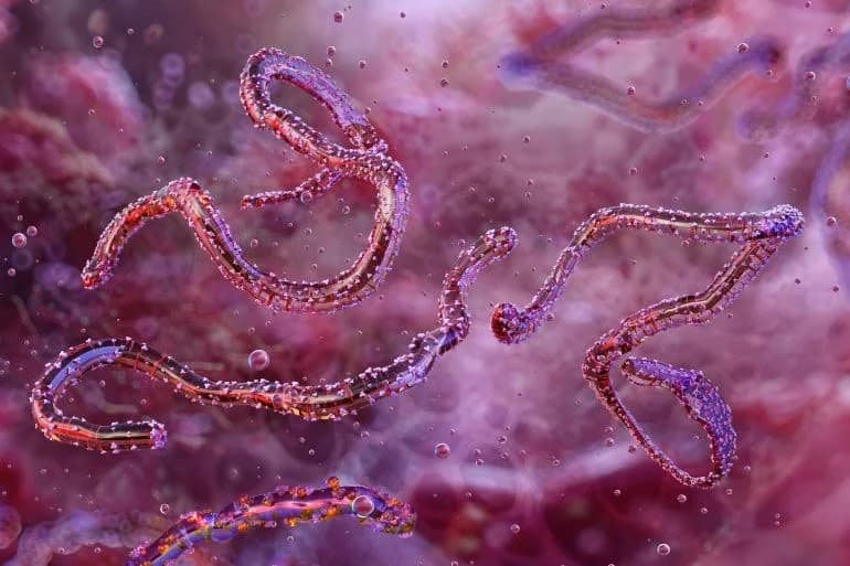Ethiopia confirms first Marburg virus outbreak