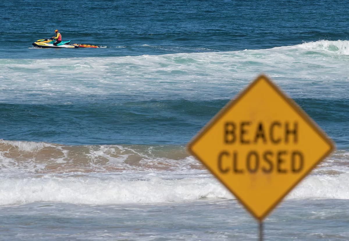 Australian boy dies after shark attack in Sydney Harbour