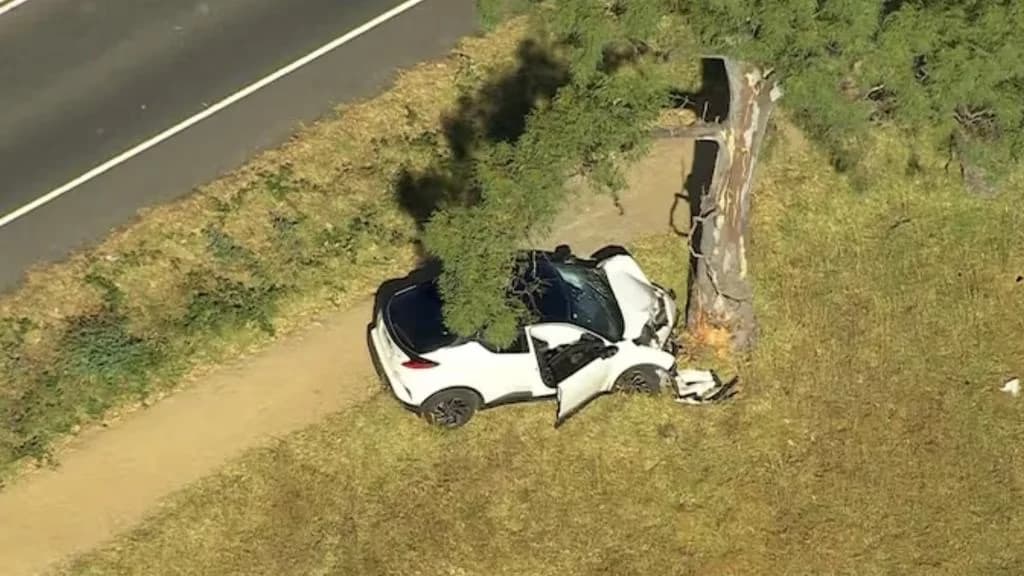 A 16 years old boy is fights for life after being struck by car in Melbourne