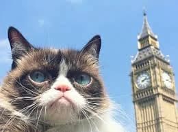 Unbelievably Funny Moments from Around the World